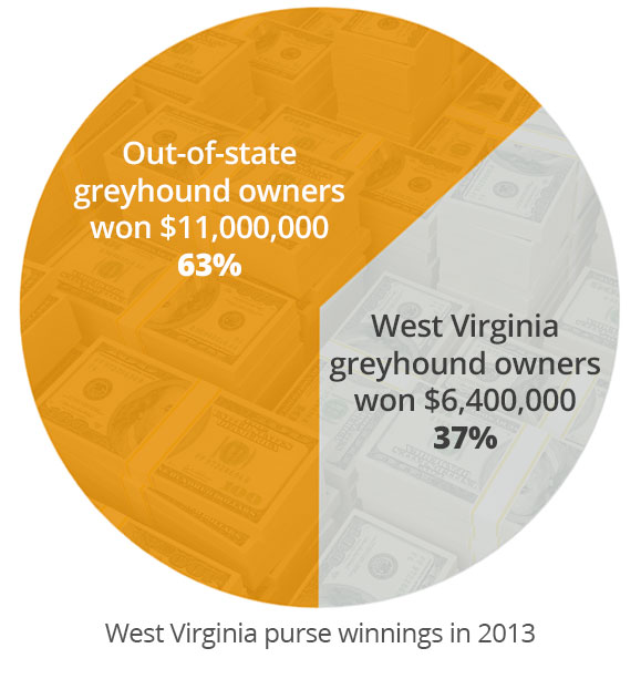 Out-of-state greyhound owners won 63%, West Virginia greyhound owners won 37% in 2013